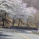 황토재길 이미지