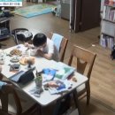금쪽이 이미지