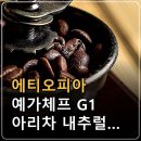에티오피아 예가체프 G1 아리차 내추럴 커피원두 특징, 향미와 로스팅·핸드드립 살펴보기 이미지