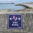 화진리 구진마을 앉은 줄다리기 | 해파랑길 19 &amp; 18코스(일부)