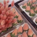 억대농장 이미지