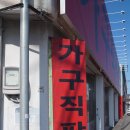 포레스트541 이미지