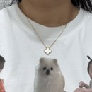 반클리프 알함브라 빈티지 마더오브펄 구매후기, 줄 연장(+3cm)
