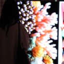 우리시 브랜드 조형 이미지