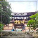 고요한 숲 | 고요한 숲속의 축제, 천 년의 시간을 품은 선암사