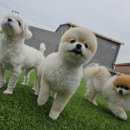 견학생스쿨 이미지