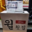 윌횟집 | 강릉맛집 경포대횟집 추천 윌횟집 후기 애견동반가능