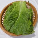 연포회식당 이미지