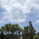 천진한의원 | [시드니, 멜번] 인생 첫 오페라를 오페라하우스에서