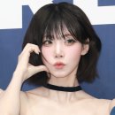 비비볼