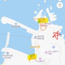 동해경찰-02 | 2026년 건강 그리고 행복🍀| 삼척 장호항 일출 후기