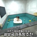 스테이호텔 | 부곡 가족탕 추천 창녕 키즈스테이 호텔 대실 후기
