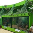 함평양서파충류생태공원 이미지