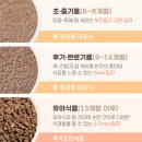 토핑플러스 이미지