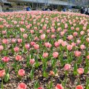 낙동강관리본부 화명생태공원 12 이미지