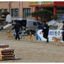 비상초등학교 이미지