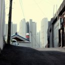 독쟁이3 이미지