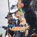 서해조선 | 서해 배낚시 오이도 쭈꾸미 갑오징어 낚시 철 초보 선상 예약 전투호 쭈갑낚시 조황 대박!