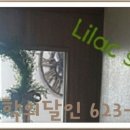 꿈그루수학