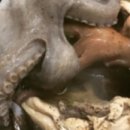 유림-1012 이미지