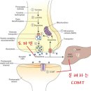 온누리평안약국 네이버블로그