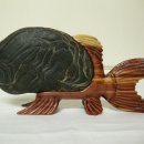 남한강 물고기 이미지