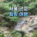 지리산숲놀이법인 | [공지] 서울에서 지하철 타고 떠나는 숲 힐링ㅣ춘천숲체원 2박 3일 후기