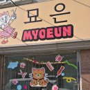 묘은 | 대전 고양이 전문 미용 디쉐이딩과 스파목욕을 같이 해주는 묘은 후기(가격,예약)