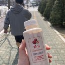 수선화 꽃구경(충남 서산여행, 유기방가옥, 유기방가옥 수선화, 서산 수선화축제, 수와진의사랑더하기)