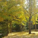 현지네 농원 이미지