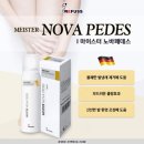 레푸스 범어점 네이버블로그