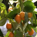 재실농장 이미지