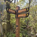 갈맷길(6-4구간) 이미지