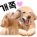 옥구인조잔디축구장 이미지