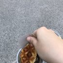 아덴블랑제리 남천점 | 주간일기 12 : 8월 넷째 주 기록
