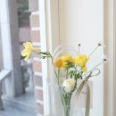 사림동136 이미지