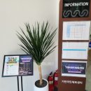 기린휴게실 이미지