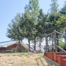 배산공원 화장실 이미지