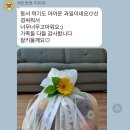 너와과일 이미지