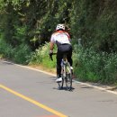 뚝섬한강공원-28 이미지