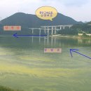 단성면사무소 이미지