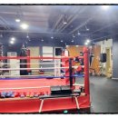 서울탑체육관 이미지