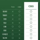 엔도케어약국 | 수의사의 전문성을 담아 설계된 CBG 오일, 라이펫 릴리브 솔직 후기