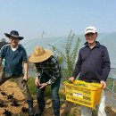 또박이농장 이미지