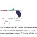 Re:The Macrophage ‘Do not eat me’ signal, CD47, is a clinically validated c 이미지