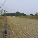 대산문화체육공원(야구장) 이미지