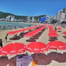 송정해수욕장 3호 이미지