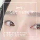 뷰티모아나 이미지