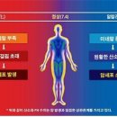 자두야놀자 이미지