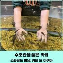 아쿠아오리지널 | [스타필드 하남 아쿠아 카페]아이와 가기 좋은 물고기 카페, 카페 드 아쿠아 솔직 후기